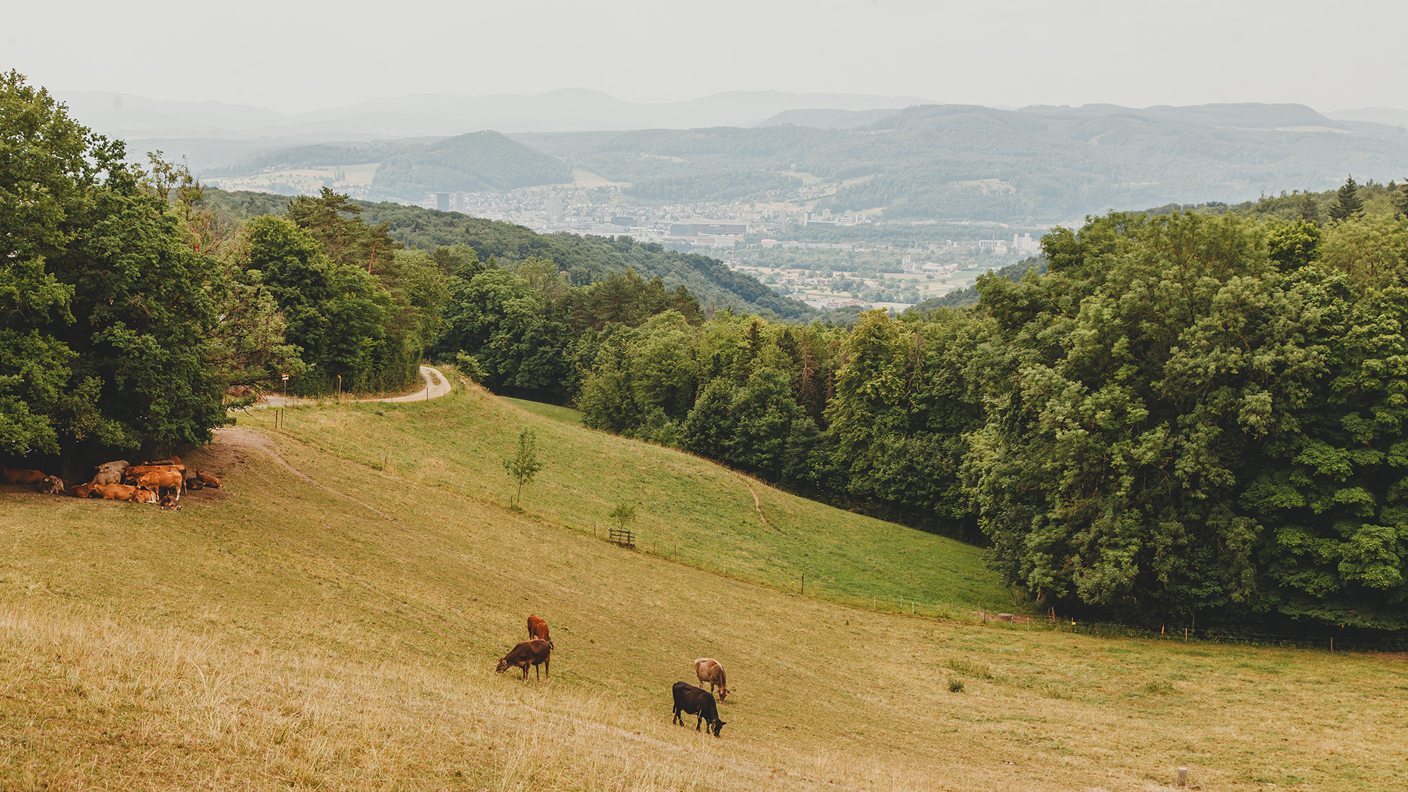 Chrischona Berg Outdoor Eventlocation