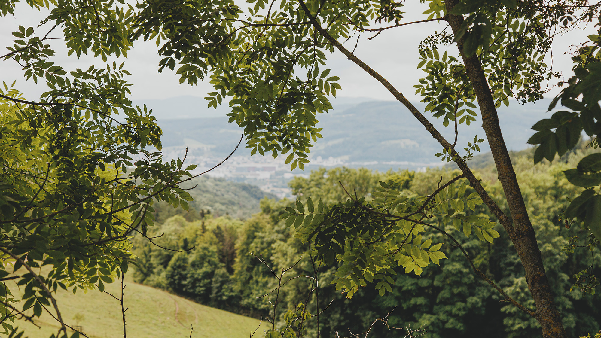 Chrischona Berg Outdoor Eventlocation