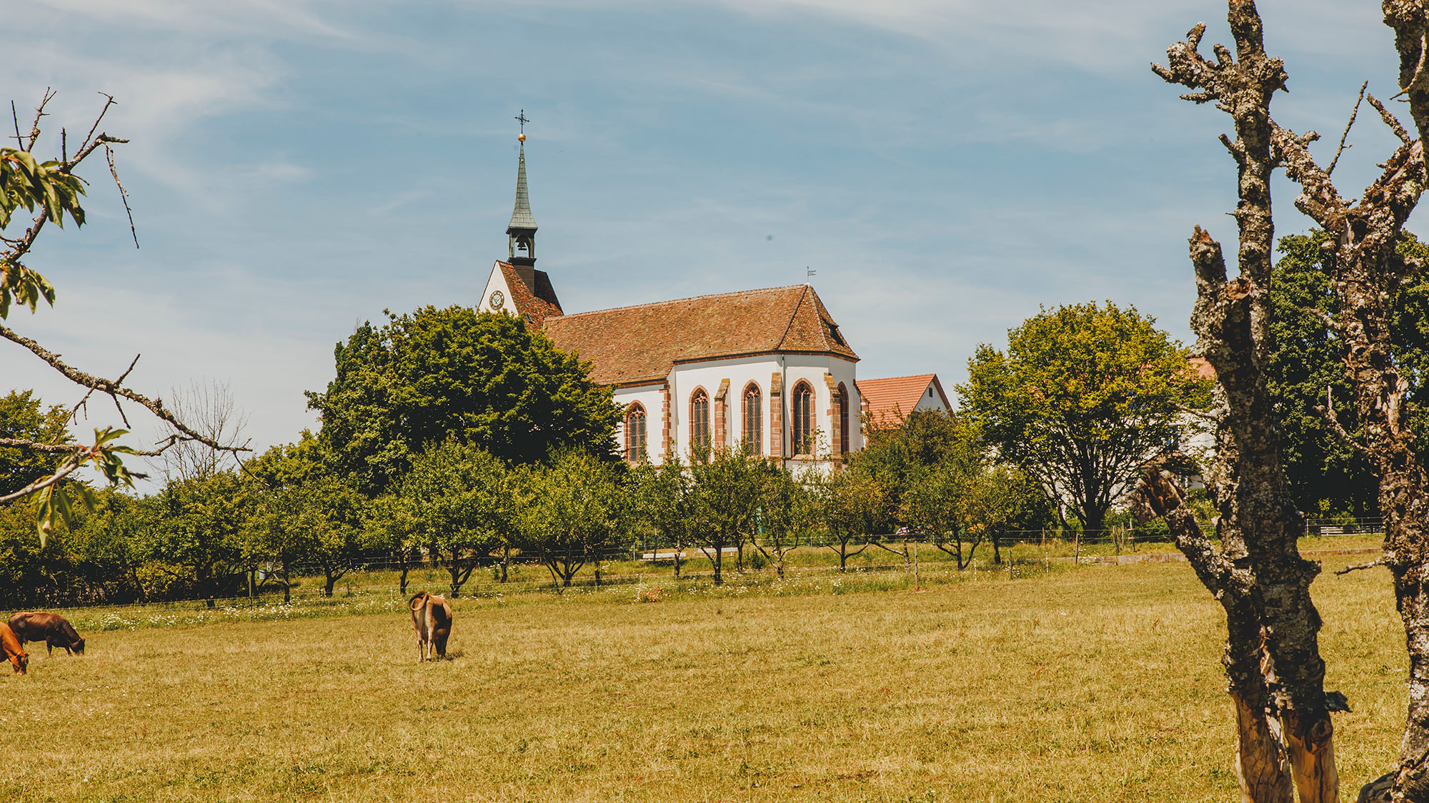 Chrischona Berg Outdoor Eventlocation